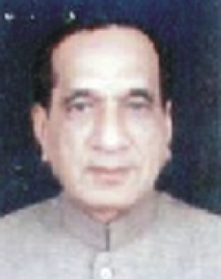 Mr. Dilip Parikh